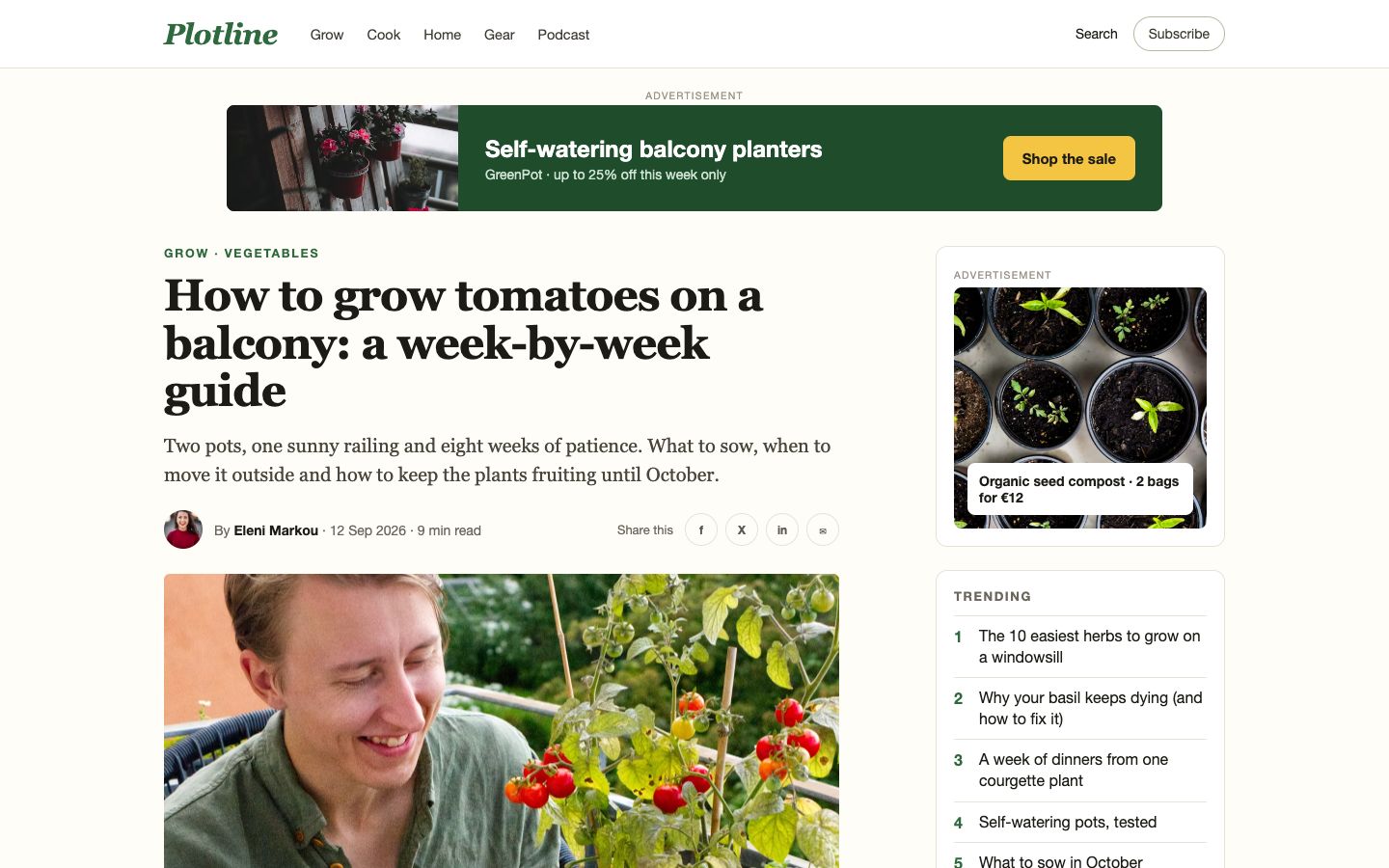 Article, plotline.example